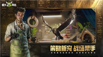 世界弹射物语组合技机制的玩法深度解析：掌握核心技巧轻松战胜敌人