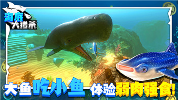 希望之村手机版怎么玩新手教程，轻松上手打造理想小镇