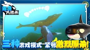 忘川风华录有保底吗？探索游戏抽卡机制与保底系统的实际应用